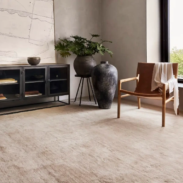 Light beige textured wool carpet in a stylish living area