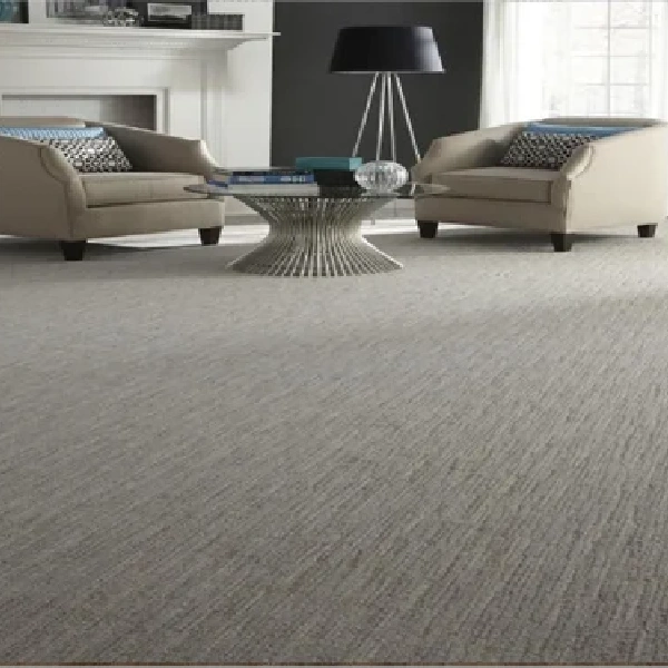 Light gray wall-to-wall carpet in a modern living room