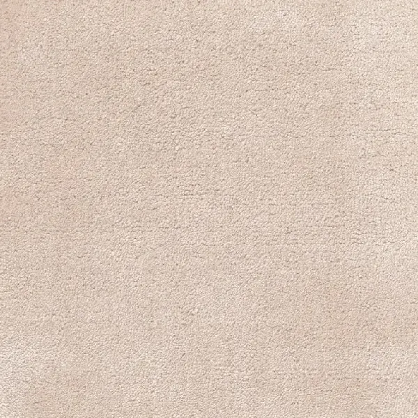 Creamy white plush silk carpet.