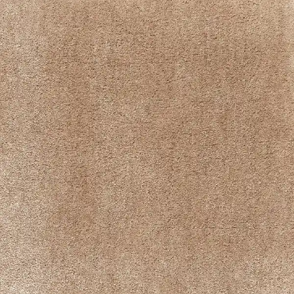 Plush tan silk carpet texture.