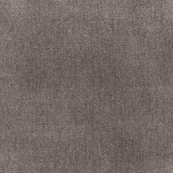 Textured dark taupe silk carpet.