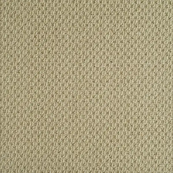 beige-tan loop pile carpet with a slightly textured weave.