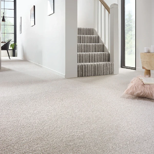 off-white wall-to-wall carpet in a modern entryway