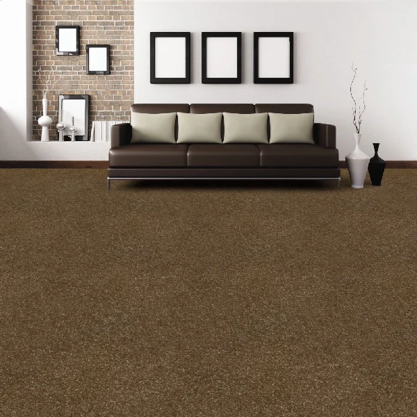 wall-to-wall carpet in a living room.