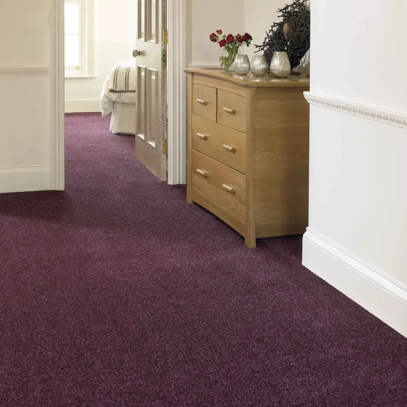 wall-to-wall carpet with a textured, speckled appearance